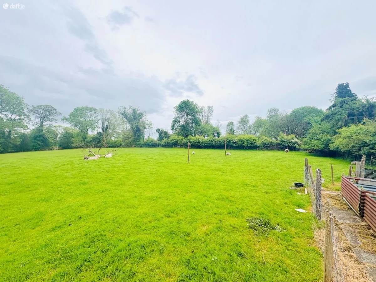 Ballydwyer West,Ballymacelligott,Tralee,Co. Kerry, Ballymacelligott, Co. Kerry - Image 21