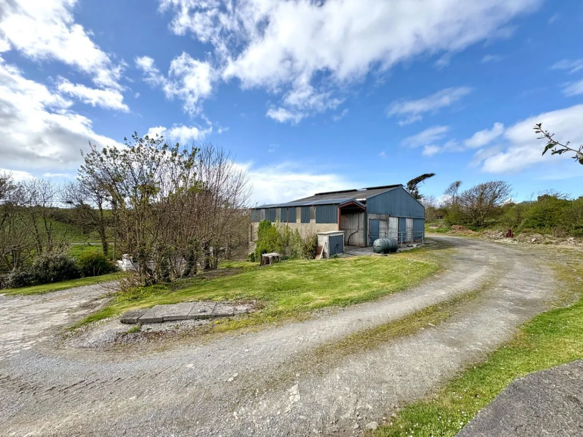 The Mill, Ballynoe, Causeway, Causeway, Co. Kerry - Image 22